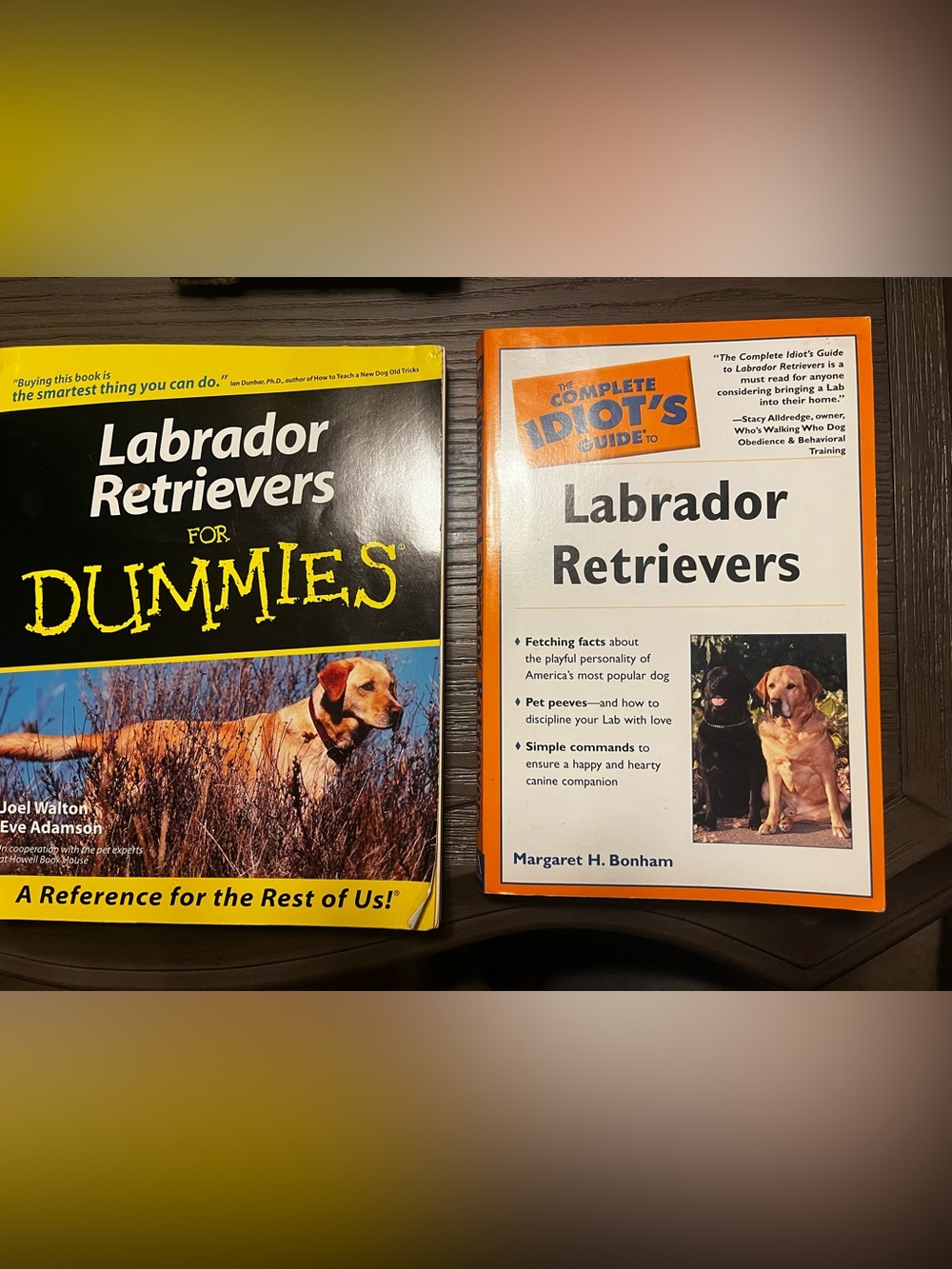 2 Labrador books for 1 price!